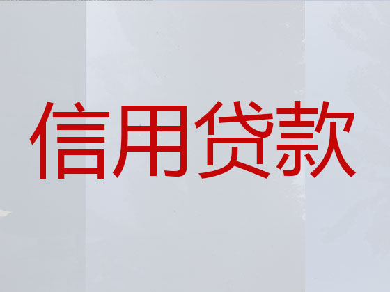 三门峡贷款公司-银行信用贷款